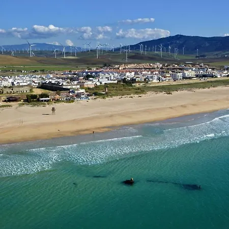 Gaviota 103413 By Mo