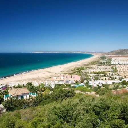 Gaviota 103413 By Mo Daire *